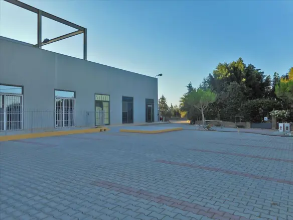 Detached House In Koropi, Greece (1.400 M²)
