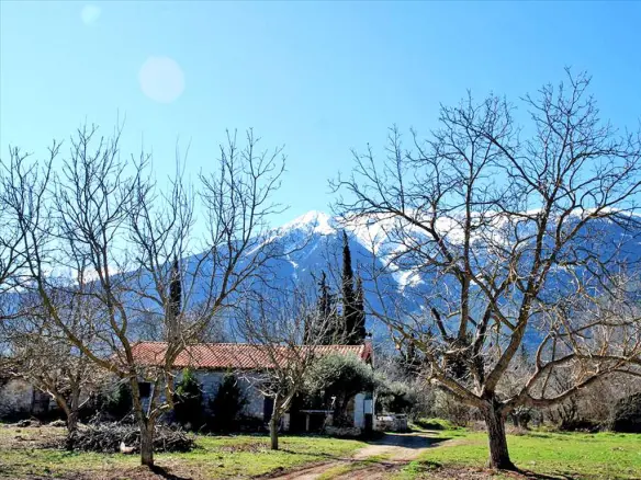 3-bedroom Detached House In Arachova, Greece (140 M²)