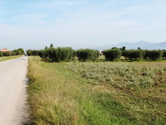 11600 M² Plot Available In Thessaloniki Suburbs