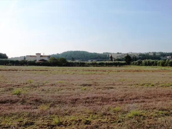 11600 M² Plot Available In Thessaloniki Suburbs