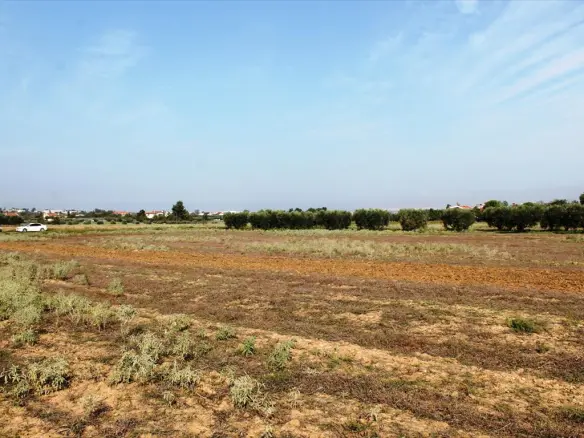 11600 M² Plot Available In Thessaloniki Suburbs