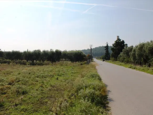 11600 M² Plot Available In Thessaloniki Suburbs