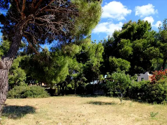 3-bedroom Villa In Rafina, Greece (600 M²)