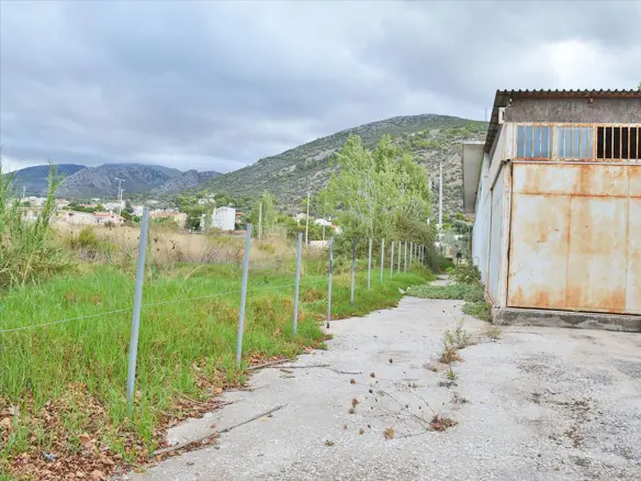Commercial Property In Marathonas, Greece (360 M²)