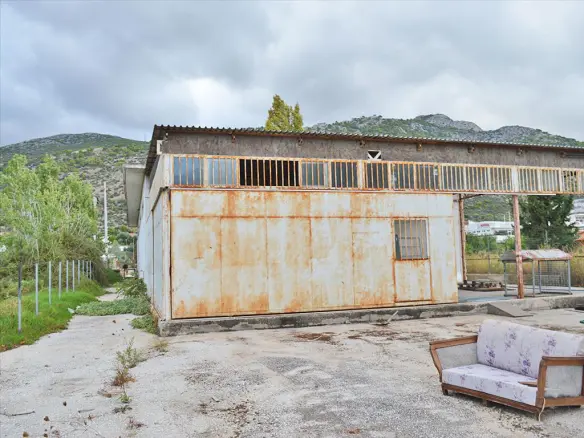 Commercial Property In Marathonas, Greece (360 M²)