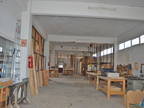 Commercial Property In Marathonas, Greece (360 M²)