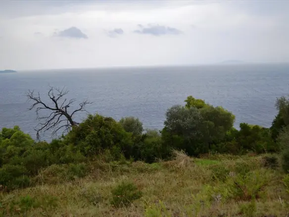 Land In Kassandra, Greece