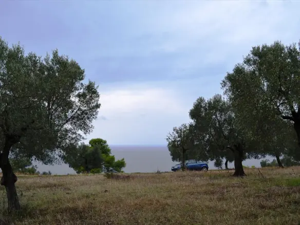 Land In Kassandra, Greece