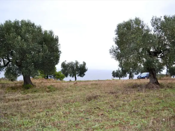 Land In Kassandra, Greece
