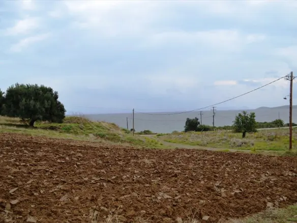 Land In Kassandra, Greece