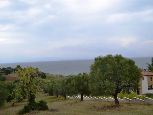 Land In Kassandra, Greece