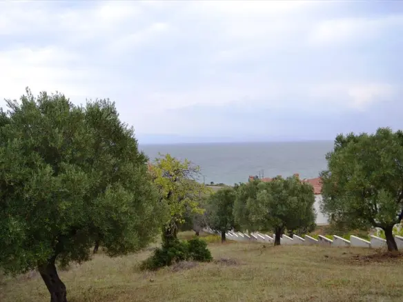 Land In Kassandra, Greece
