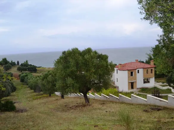 Land In Kassandra, Greece