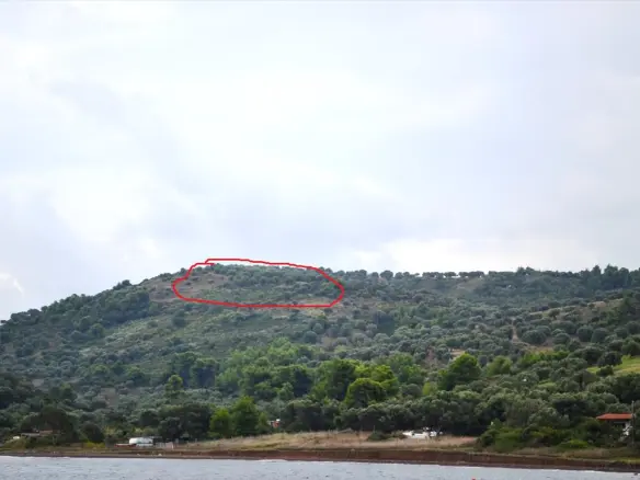 Land In Kassandra, Greece
