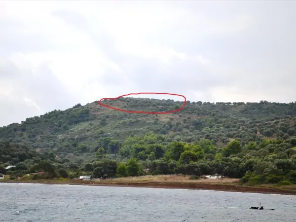 Land In Kassandra, Greece