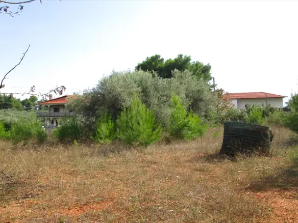 Land In Sithonia, Greece