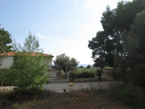 Land In Sithonia, Greece