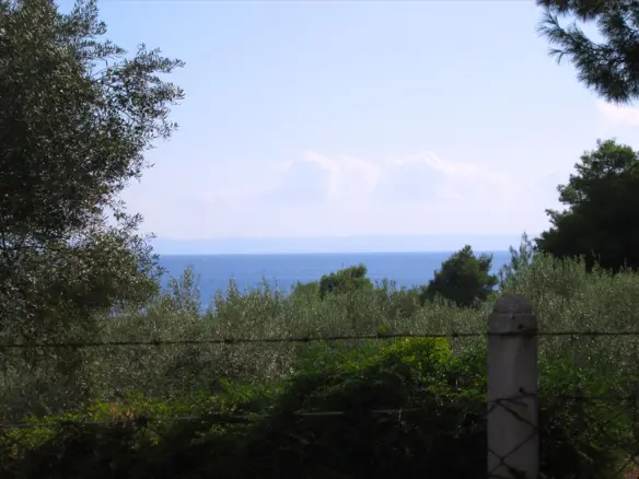 Land In Sithonia, Greece