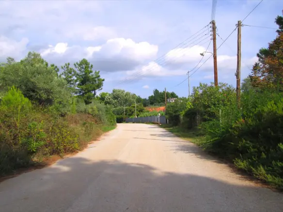 Land In Sithonia, Greece