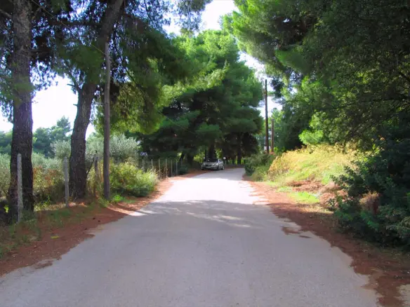 Land In Sithonia, Greece