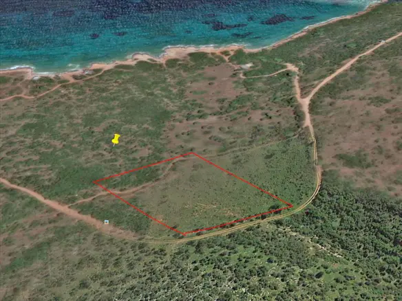 Land In Marathonas, Greece (8.325 M²)