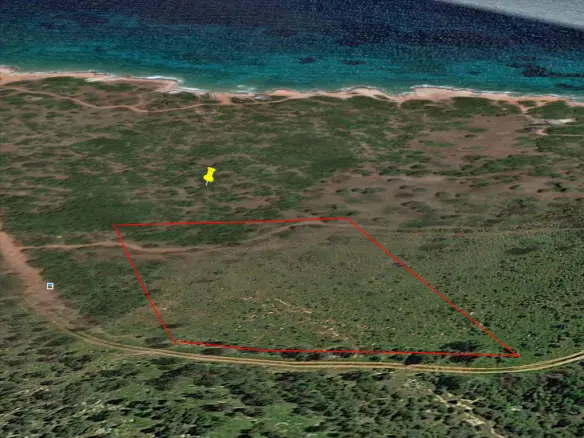 Land In Marathonas, Greece (8.325 M²)