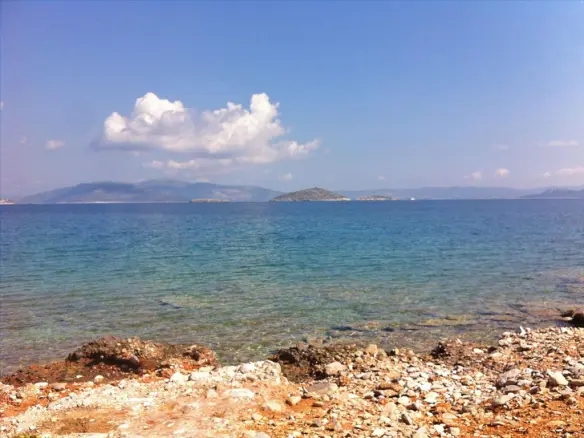 Land In Marathonas, Greece (8.325 M²)