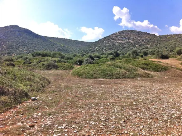 Land In Marathonas, Greece (8.325 M²)