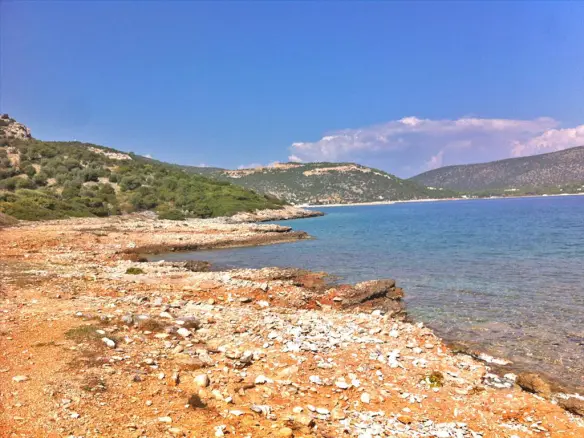 Land In Marathonas, Greece (8.325 M²)