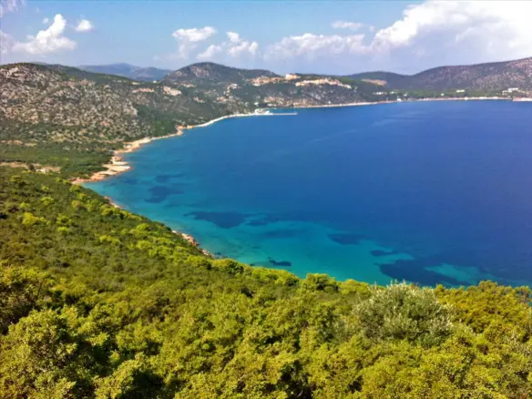 Land In Marathonas, Greece (8.325 M²)