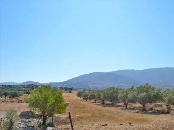 Land In Kalivia Thorikou, Greece