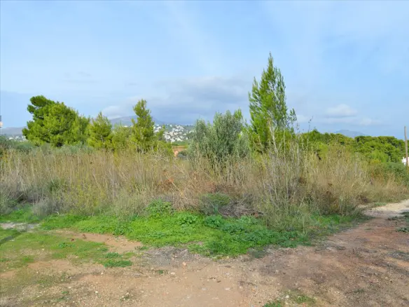 Land In Rafina, Greece