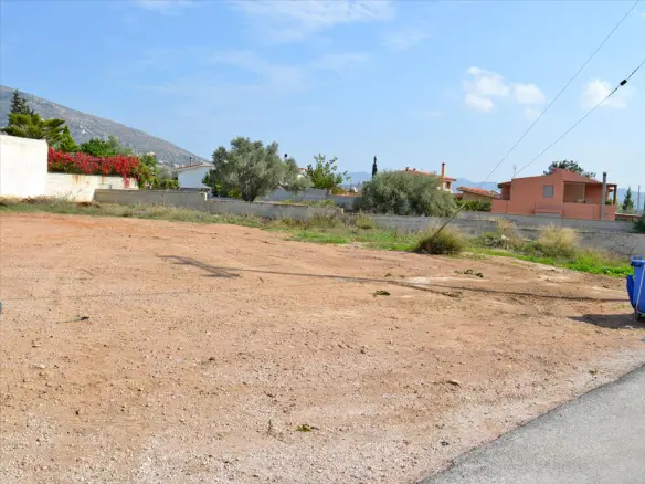 Land In Anavissos, Greece