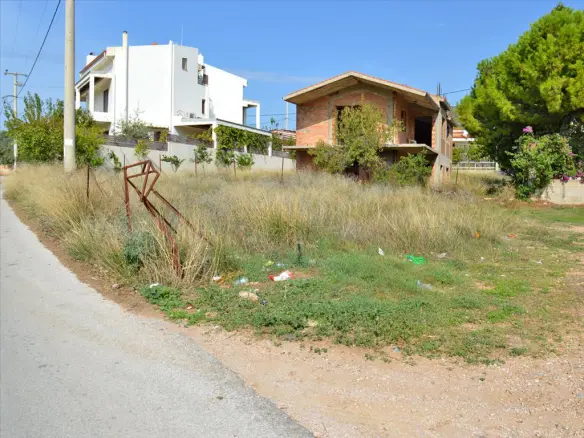 Land In Anavissos, Greece