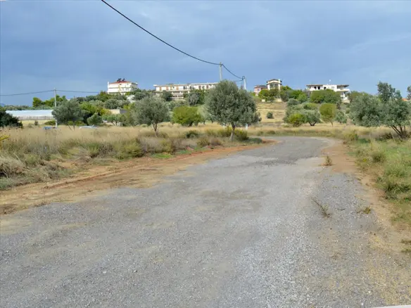Land In Rafina, Greece