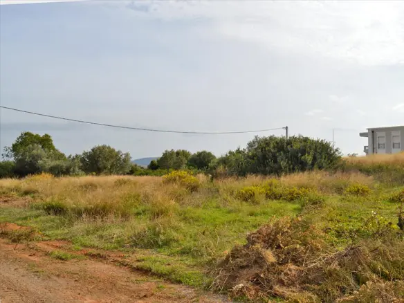 Land In Rafina, Greece