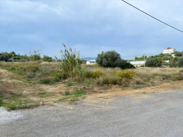 Land In Rafina, Greece