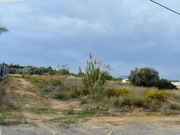 Land In Rafina, Greece
