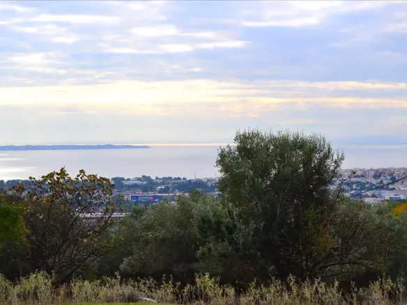Land In Pylea, Greece