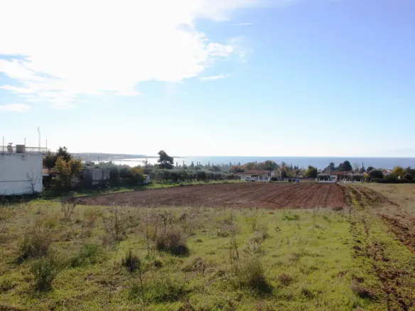 Land In Michaniona, Greece
