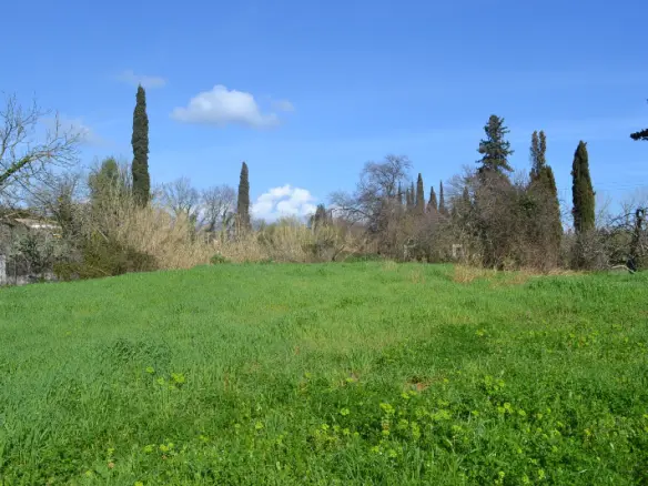 6500 M² Land Parcel Available In Corfu