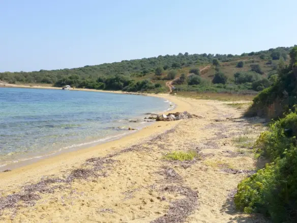 Land In Aristotle, Greece