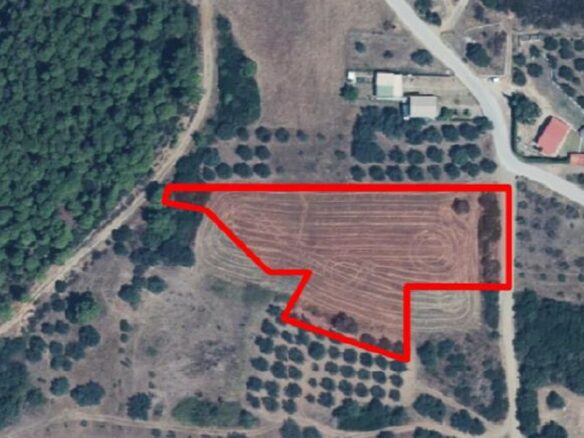 Land In Aristotle, Greece