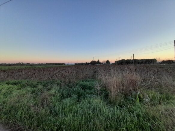 Land In Epanomi, Greece