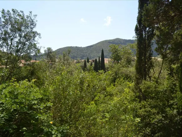 Land In Corfu, Greece