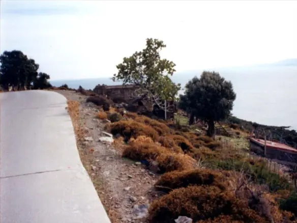 Land In Chios, Greece