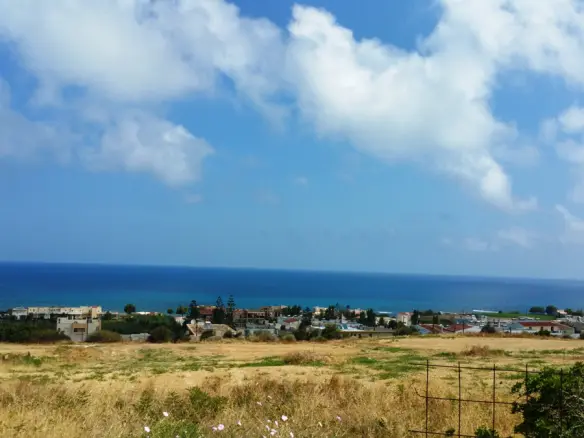 Land In Geropotamos, Greece (20.000 M²)