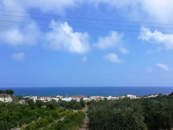 Land In Geropotamos, Greece (20.000 M²)