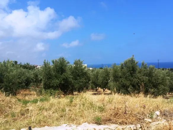 Land In Geropotamos, Greece (20.000 M²)