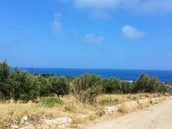 Land In Geropotamos, Greece (20.000 M²)